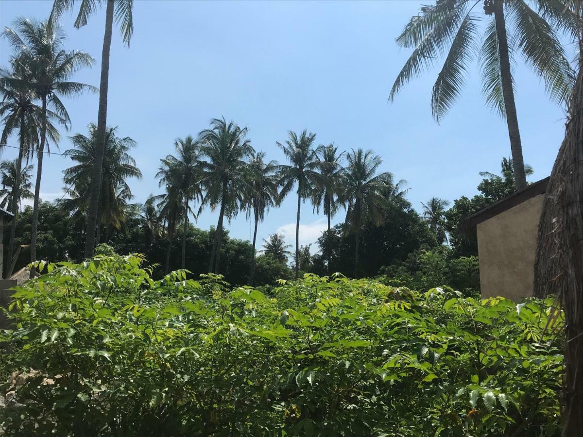 Meno Madia Bungalows Gili Meno Dış mekan fotoğraf