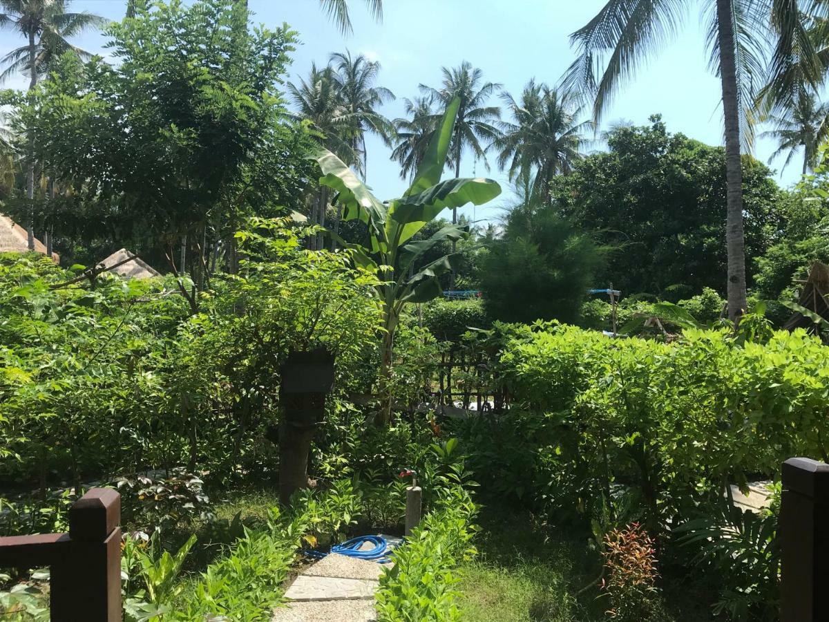Meno Madia Bungalows Gili Meno Dış mekan fotoğraf