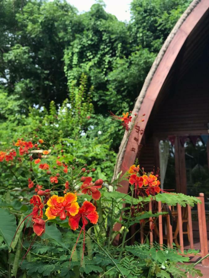 Meno Madia Bungalows Gili Meno Dış mekan fotoğraf