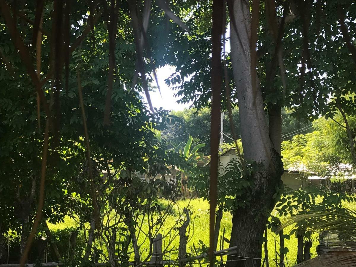Meno Madia Bungalows Gili Meno Dış mekan fotoğraf