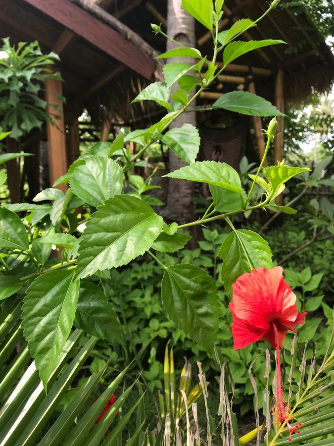 Meno Madia Bungalows Gili Meno Dış mekan fotoğraf